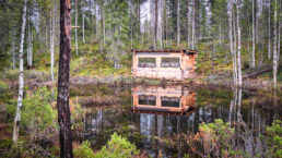 Outside area of a smaller hide