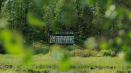 An older style hide,